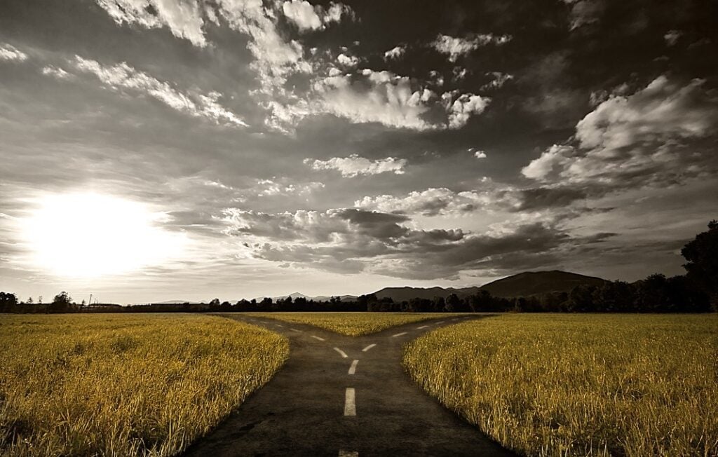 Road in a field splitting in two