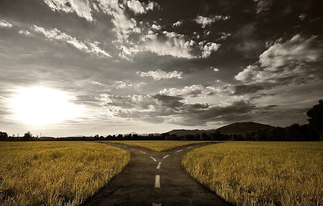 Road in a field splitting in two