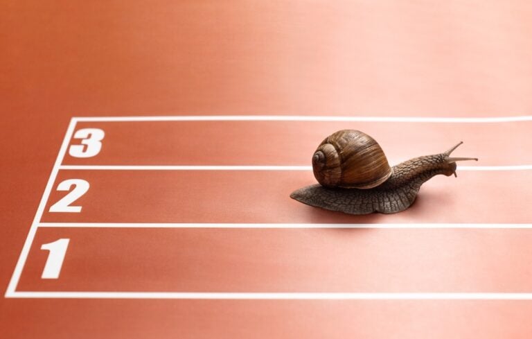 Snail in race