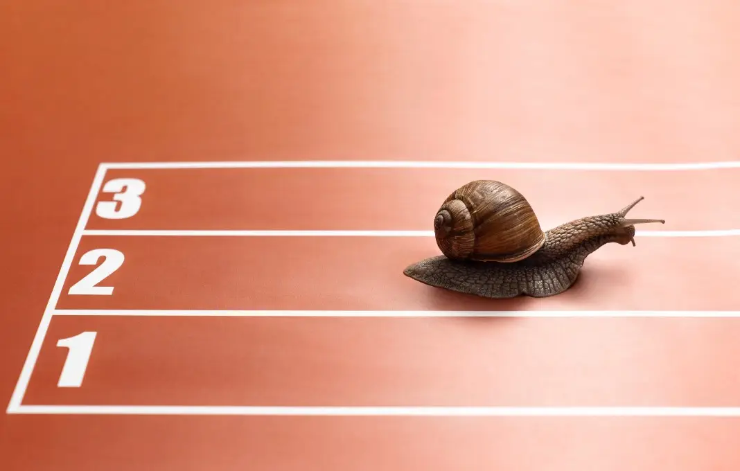 Snail in race