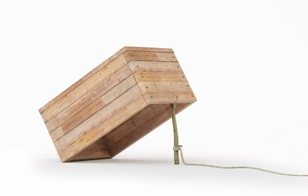 Box trap