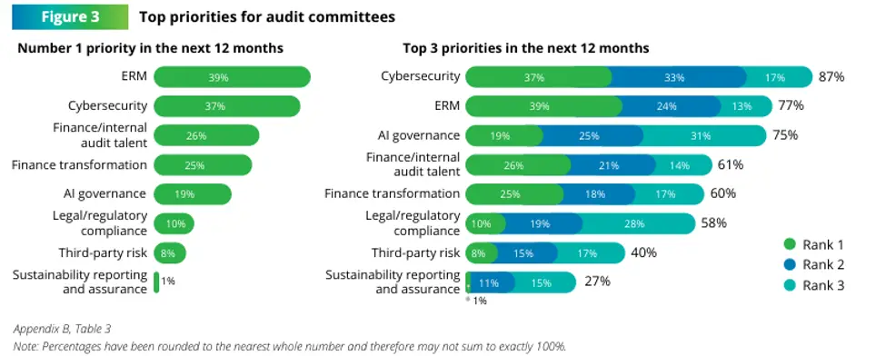 Audit committee priorities